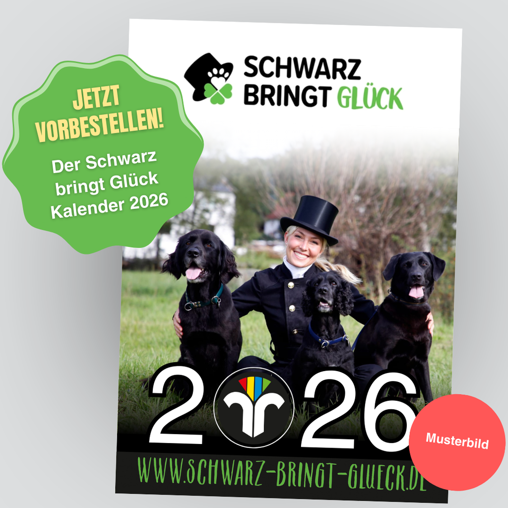 Schornsteinfeger Kalender 2026 – Jetzt vorbestellen