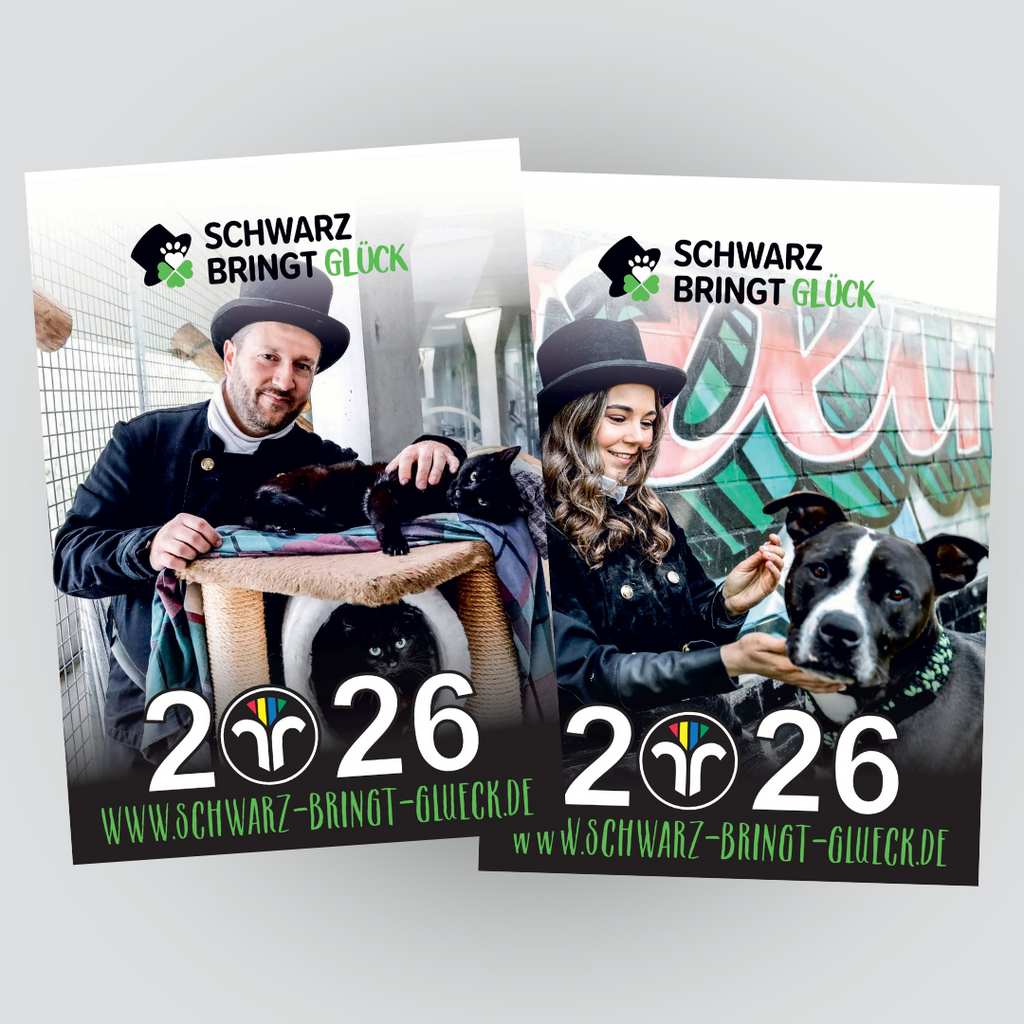 Schornsteinfeger Kalender 2026