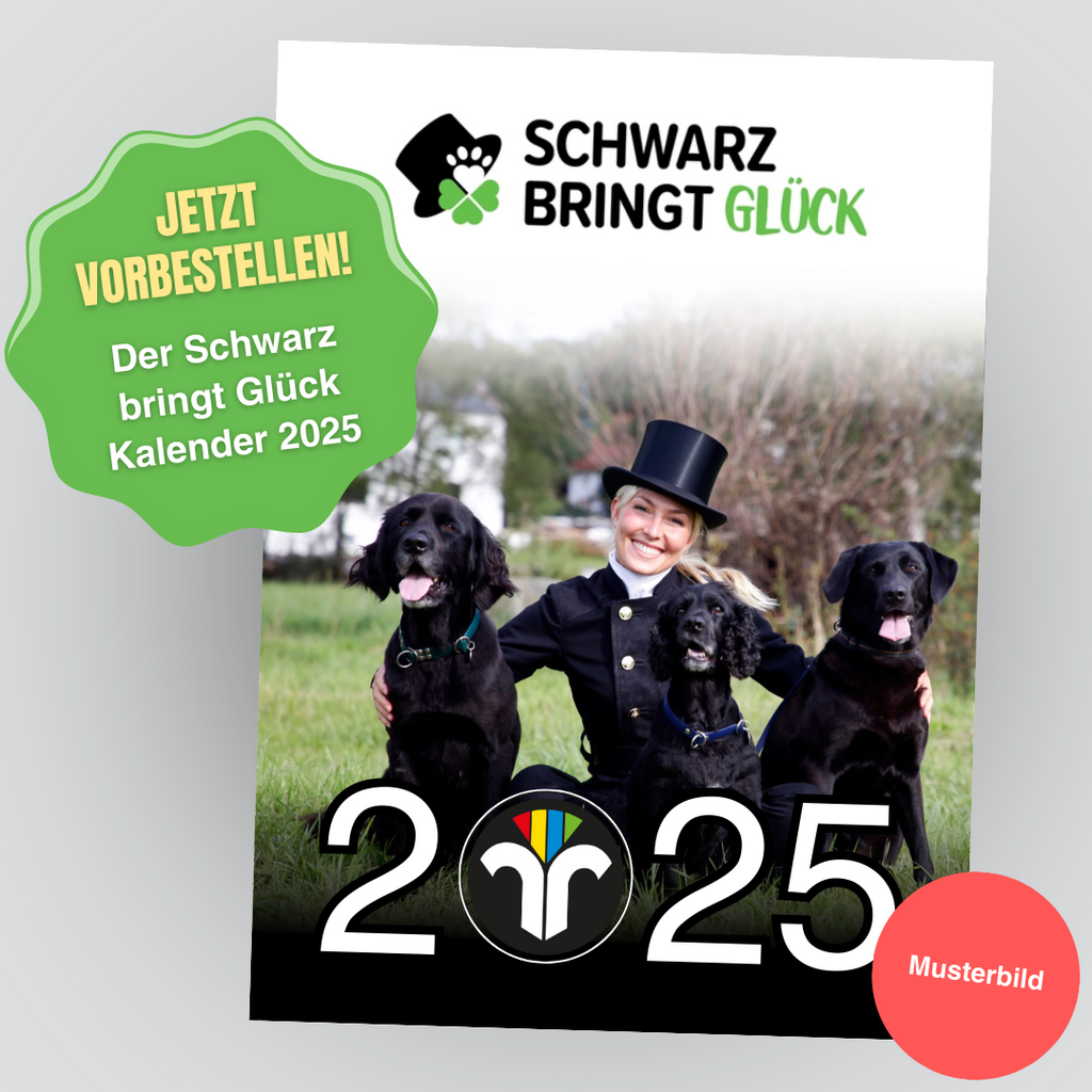 Schornsteinfeger Kalender 2025 (VORBESTELLUNG)