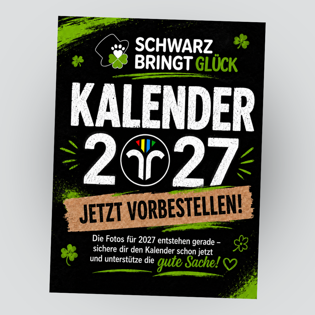 Schornsteinfeger Kalender 2027